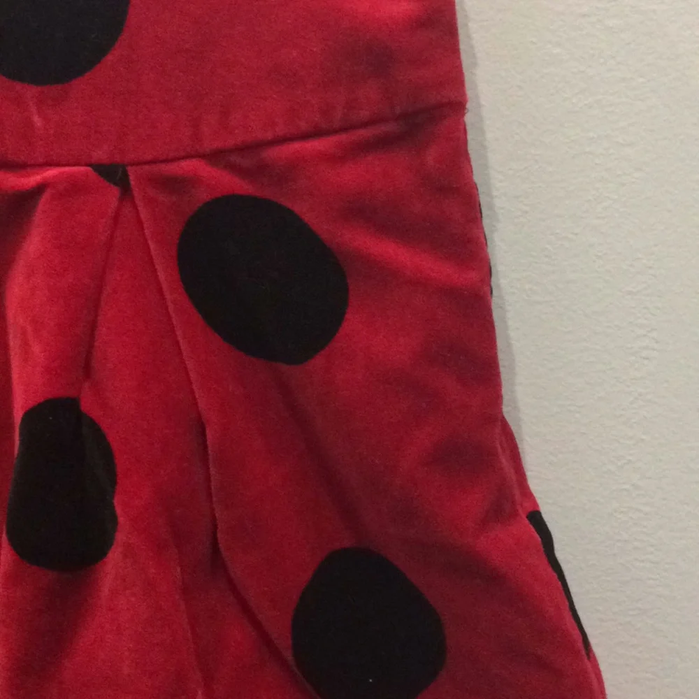 The Children’s‎ Place Red Ladybug Velvet Skirt